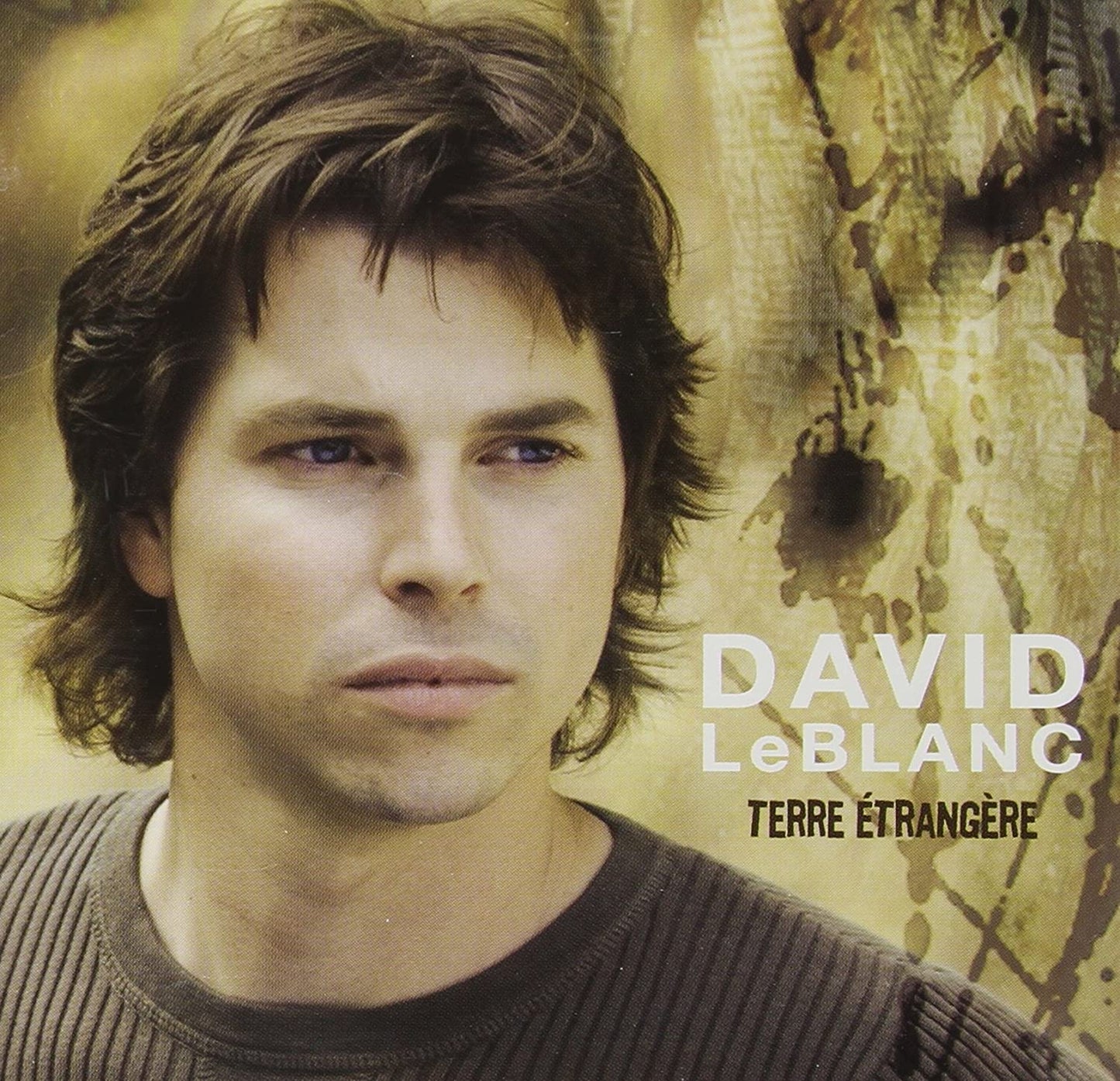Terre Etrangere [Audio CD] Leblanc/ David